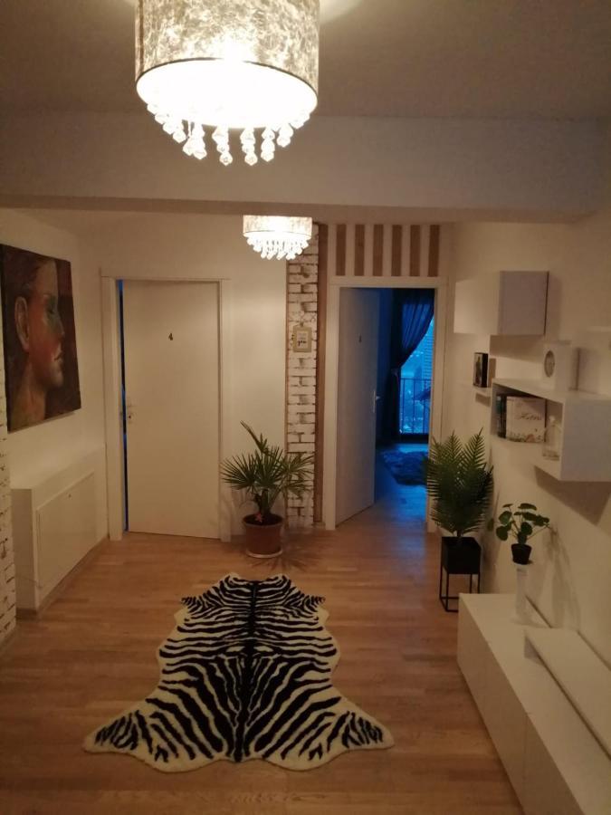 Pensiunea Timis Borşa Екстериор снимка