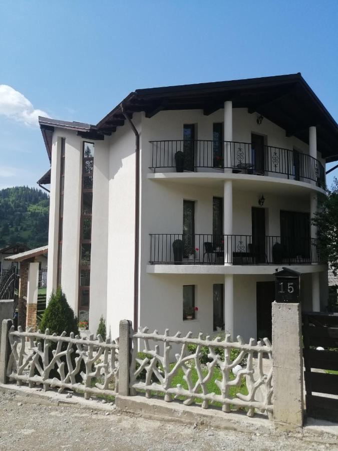 Pensiunea Timis Borşa Екстериор снимка