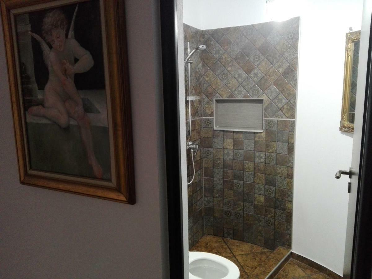 Pensiunea Timis Borşa Екстериор снимка