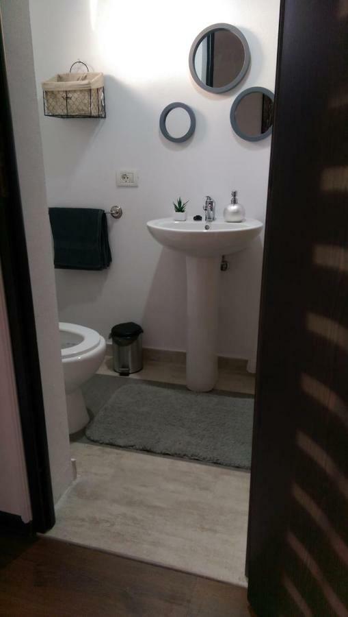 Pensiunea Timis Borşa Екстериор снимка